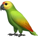 Parrot