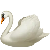 Swan